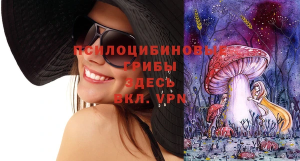 тгк Аркадак