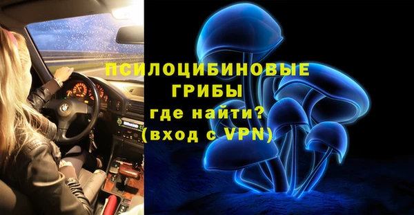 молекула духа Приозерск