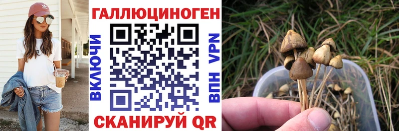 Галлюциногенные грибы MAGIC MUSHROOMS  Приморско-Ахтарск 